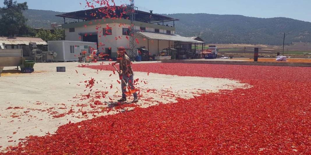 20 tesiste 8 bin kişilik dev kadronun mesaisi başladı! 2 ay boyunca ter dökecekler, en güzelini sofralara gönderecekler 1